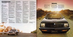 1979 Buick Full Line Prestige-60-61.jpg